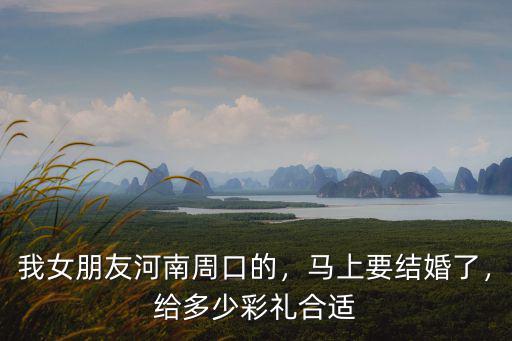 我女朋友河南周口的，馬上要結婚了，給多少彩禮合適