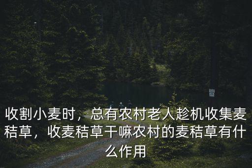南陽麥秸怎么收,收麥秸草干嘛