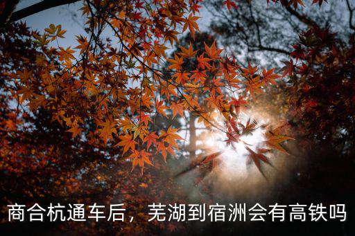商合杭通車后，蕪湖到宿洲會有高鐵嗎