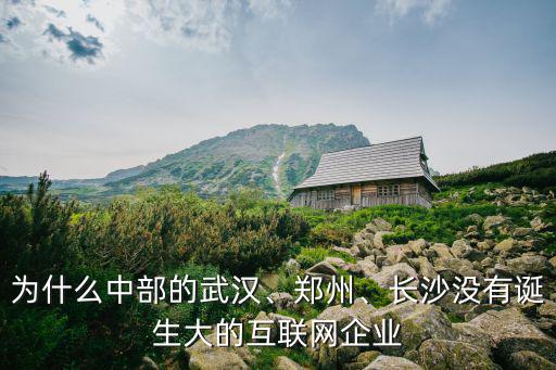 為什么中部的武漢、鄭州、長(zhǎng)沙沒(méi)有誕生大的互聯(lián)網(wǎng)企業(yè)