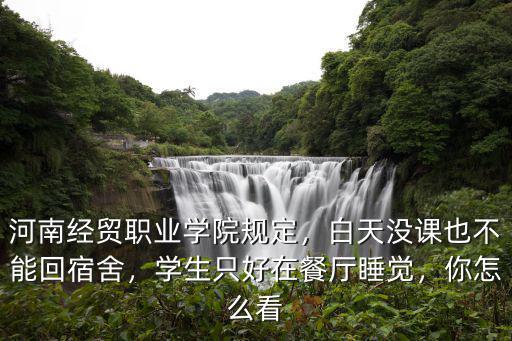 河南經貿職業學院規定，白天沒課也不能回宿舍，學生只好在餐廳睡覺，你怎么看