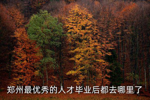 河南優秀人才畢業去哪里了,畢業了能在河南內地就業嗎