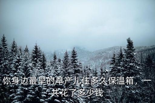 鄭州新生兒保溫箱多少錢一天,嬰兒放在保溫箱一天多少錢