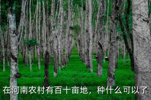 河南農作物有多少畝,在河南農村有百十畝地