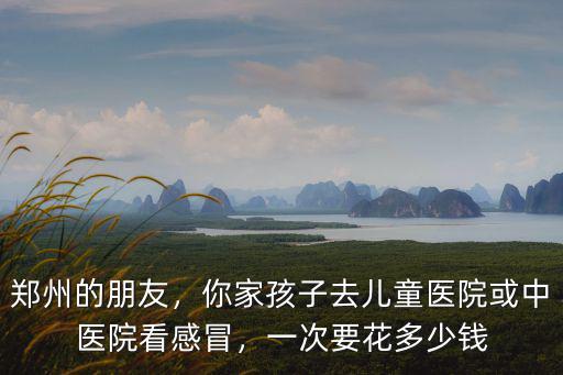 鄭州的朋友，你家孩子去兒童醫院或中醫院看感冒，一次要花多少錢