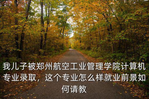 我兒子被鄭州航空工業管理學院計算機專業錄取，這個專業怎么樣就業前景如何請教