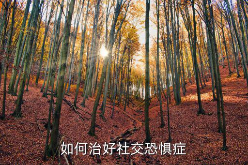 鄭州市哪里治恐懼癥,如何治好社交恐懼癥