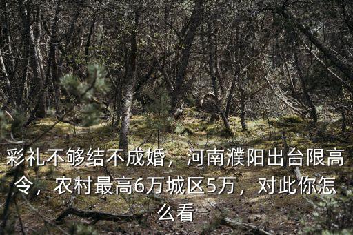 河南怎么那么多限高,河南濮陽出臺限高令