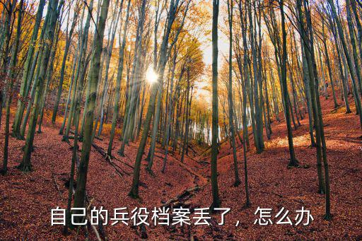 自己的兵役檔案丟了，怎么辦