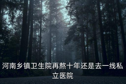 河南鄉鎮衛生院再熬十年還是去一線私立醫院