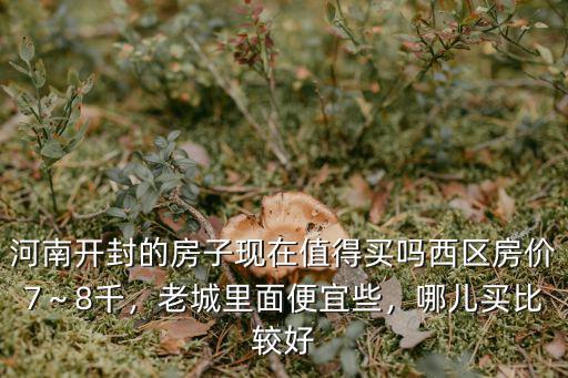 河南開封的房子現在值得買嗎西區房價7～8千，老城里面便宜些，哪兒買比較好
