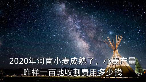 2020年河南小麥成熟了，小麥產量咋樣一畝地收割費用多少錢