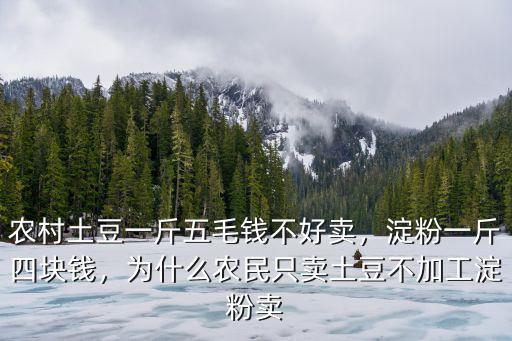 農村土豆一斤五毛錢不好賣，淀粉一斤四塊錢，為什么農民只賣土豆不加工淀粉賣