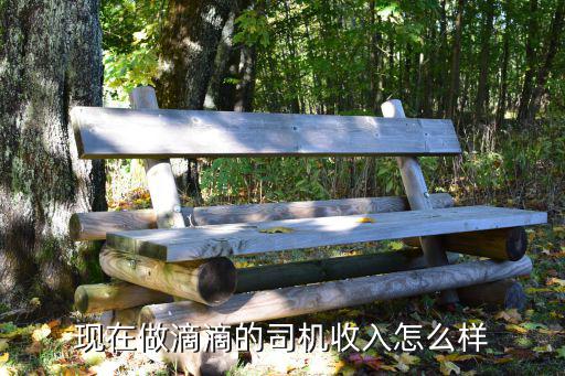 開封滴滴司機收入怎么樣,現在做滴滴的司機收入怎么樣