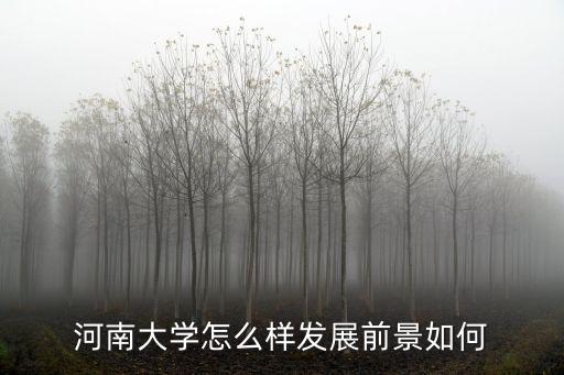河南大學怎么樣發展前景如何