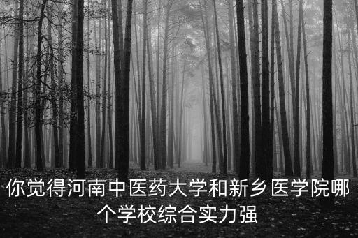 李建生河南中醫藥大學怎么樣,河南中醫藥大學怎樣