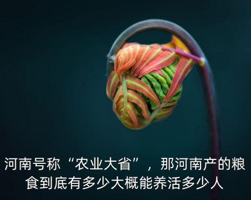河南號稱“農業大省”，那河南產的糧食到底有多少大概能養活多少人