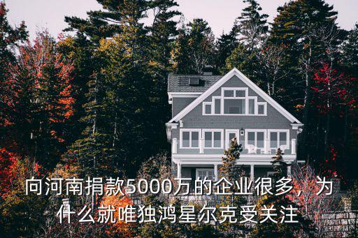 鴻星而克給河南捐款了多少,司馬南給河南捐款了么