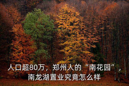 鄭州興聯置業怎么樣,南龍湖置業究竟怎么樣