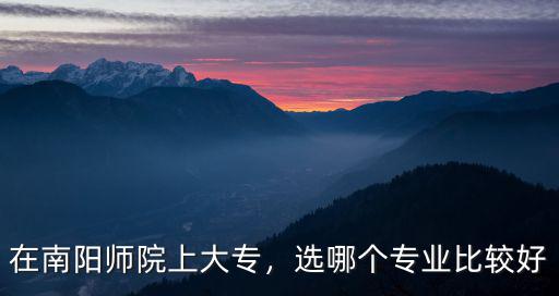 在南陽師院上大專，選哪個專業比較好