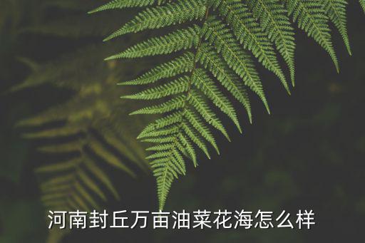 河南封丘萬畝油菜花海怎么樣