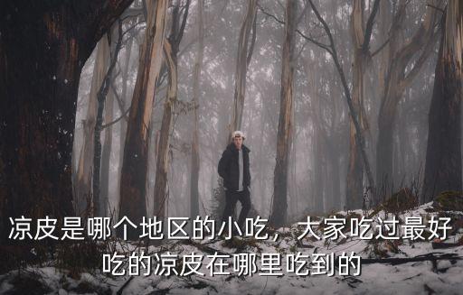 涼皮是哪個地區(qū)的小吃，大家吃過最好吃的涼皮在哪里吃到的