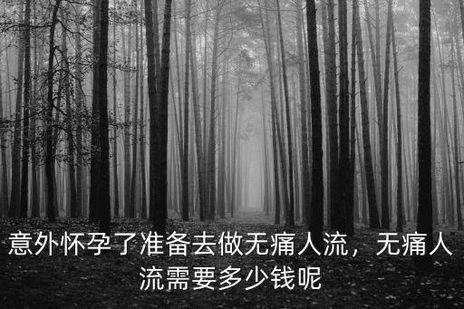 南陽做個無痛人流價格多少錢啊,無痛人流需要多少錢呢