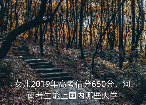 2019年高考河南省有多少考生,2019年河南考生106萬