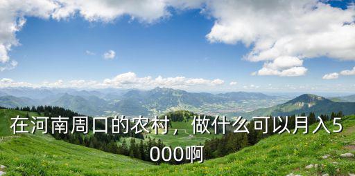 在河南周口的農村，做什么可以月入5000啊