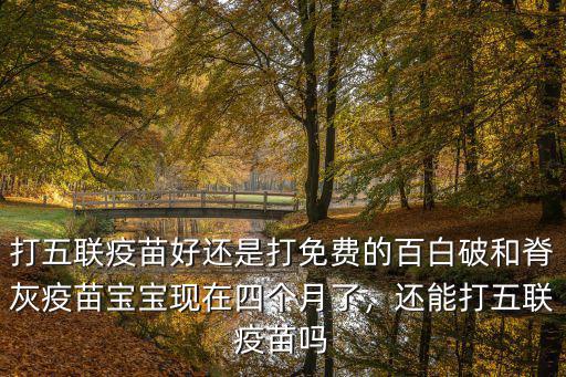 打五聯疫苗好還是打免費的百白破和脊灰疫苗寶寶現在四個月了，還能打五聯疫苗嗎