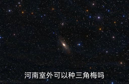 河南的室外溫度多少合適,月季什么溫度適合放在室外