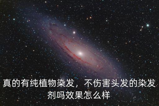 真的有純植物染發，不傷害頭發的染發劑嗎效果怎么樣