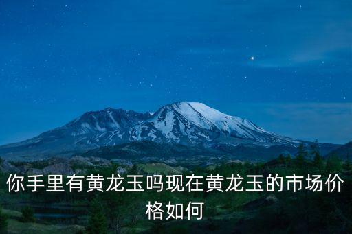 南陽黃龍玉有多少錢,黃龍玉有沒有收藏價值
