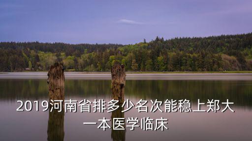 2019河南省排多少名次能穩(wěn)上鄭大一本醫(yī)學臨床