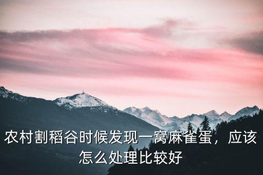 農村割稻谷時候發現一窩麻雀蛋，應該怎么處理比較好