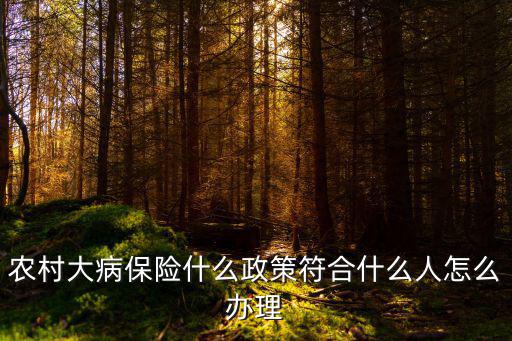 農村大病保險什么政策符合什么人怎么辦理
