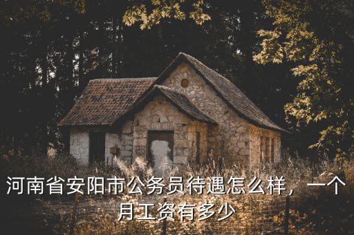 安陽市直教師工資多少阿,河南中小學教師工資有多少