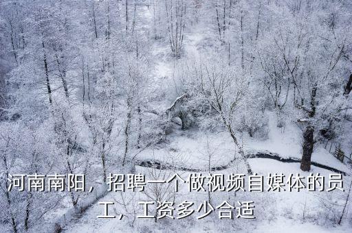 河南南陽服裝廠工資多少左右,工資多少合適