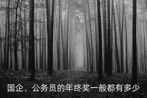 鄭州市直機關年終獎多少錢,鄭州市普遍工資多少錢