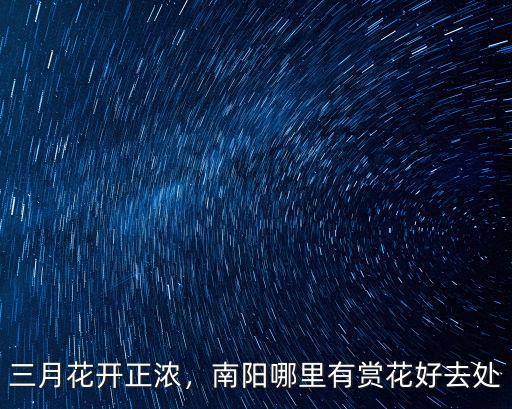 三月花開正濃，南陽哪里有賞花好去處