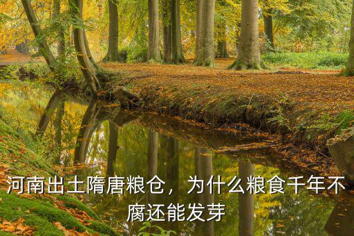 河南糧倉共有多少糧食,河南不是糧食大省