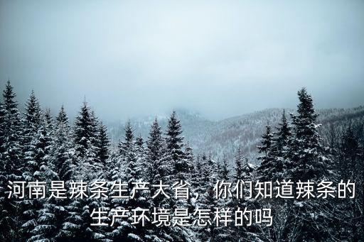 河南是辣條生產大省，你們知道辣條的生產環境是怎樣的嗎