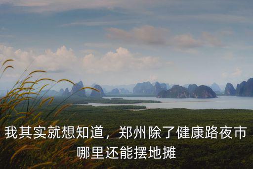 我其實就想知道，鄭州除了健康路夜市哪里還能擺地攤