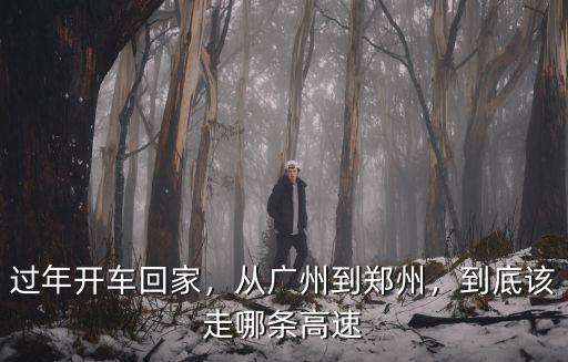 過年開車回家，從廣州到鄭州，到底該走哪條高速