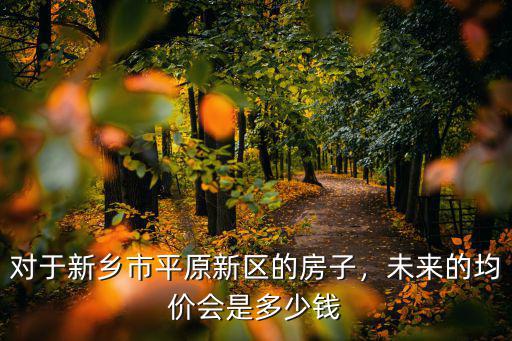 對于新鄉市平原新區的房子，未來的均價會是多少錢