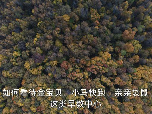 焦作金寶貝早教怎么樣,想問金寶貝怎么樣