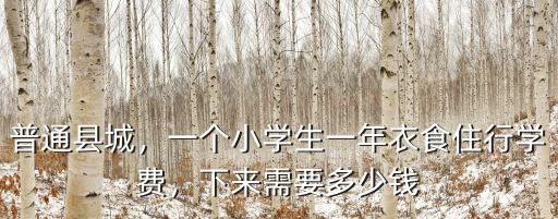 普通縣城，一個小學生一年衣食住行學費，下來需要多少錢