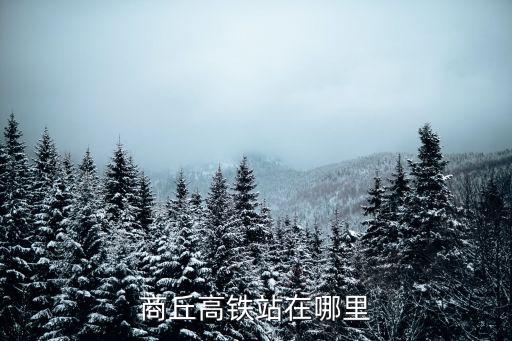 商丘高鐵站在哪里