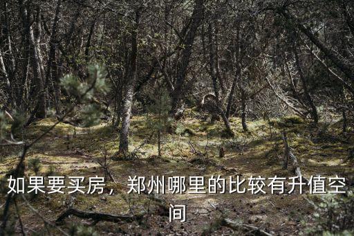 如果要買房，鄭州哪里的比較有升值空間
