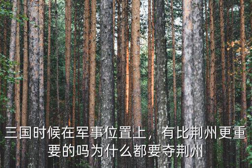 三國時(shí)候在軍事位置上，有比荊州更重要的嗎為什么都要奪荊州